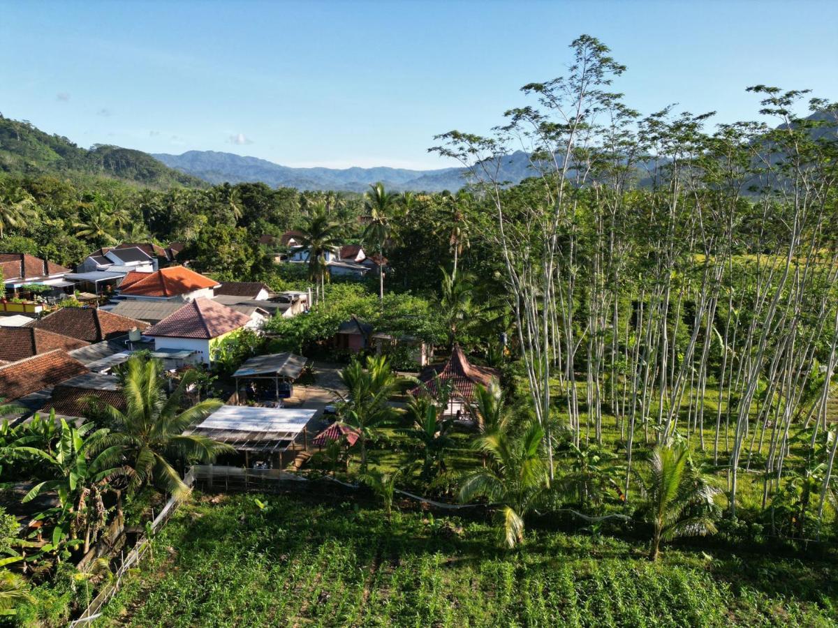 Adventure Turtle Homestay Meru Betiri Sarungan Exterior foto